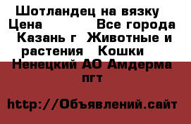 Шотландец на вязку › Цена ­ 1 000 - Все города, Казань г. Животные и растения » Кошки   . Ненецкий АО,Амдерма пгт
